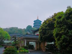 -浙江西子宾馆·牡丹厅