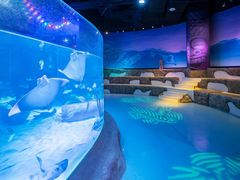 -沈阳海洋探索中心