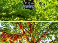 -石岛赤山风景区