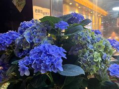 -长安·大茶饭