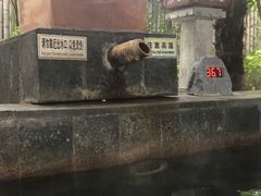 -西安国际创新人才交流中心•药浴温泉