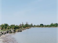 -池杉湖湿地公园