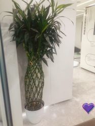 -悟空祛痘·诺奖技术专业店