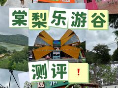 -棠梨乐游谷