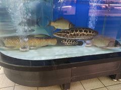 -大润发(张江店)
