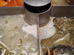酸辣沙棘锅半锅-海底捞火锅(公益西桥店)