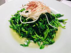 火丝银芽豆苗-江南雅厨(李公堤店)