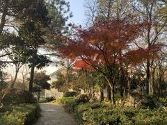 -苏州环秀晓筑养生度假村