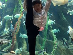 -哈尔滨波塞冬海底世界