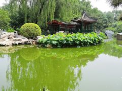 -宣武艺园