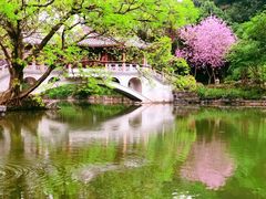 -柳侯公园