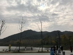 -千年银杏谷文化旅游区