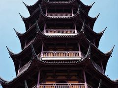 -红梅公园