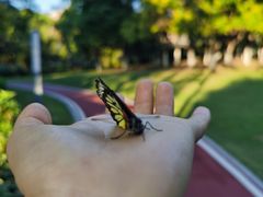 -厦门国家会计学院