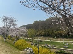 -羊山湖公园