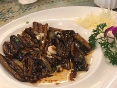 -新聚丰菜馆(太监弄店)