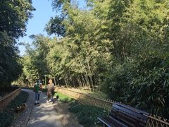 -杭州植物园