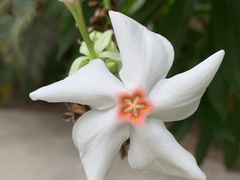 -龙达温泉生态城