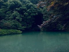-杭州乐园