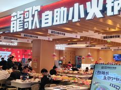 -龍歌自助小火锅(李沧丽达店)