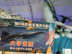 -烟台海昌鲸鲨海洋公园