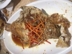 -金手勺东北菜馆(大屯北路店)