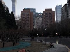-团结湖公园