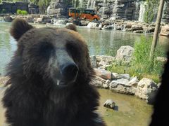 -北京野生动物园