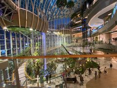 -二刀潮牛(重庆光环购物公园店)