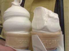 双球蛋卷冰激凌-DQ(西苑店)