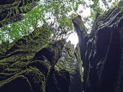 -梭布垭石林景区