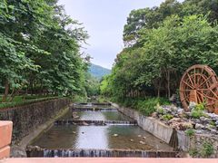 -广州白江湖森林公园