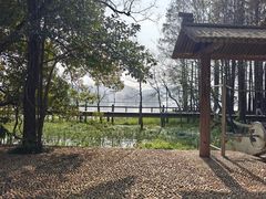 -东湖落雁景区