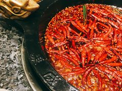 -蜀大侠火锅(建设路第五大道店)