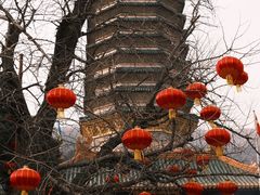 -八大处公园