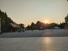 -大兴滨河森林公园