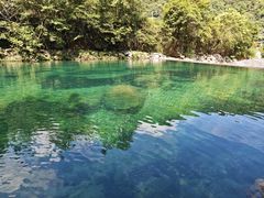 -石台牯牛降景区