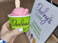 -Dooley's Premium Ice Cream