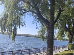 -长春市南湖公园