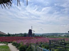 -北纬44度·金珠花海休闲农业旅游景区