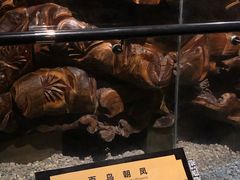 -江湾神木园