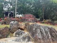 -七仙岭温泉国家森林公园