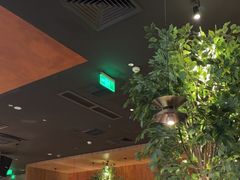 -同仁四季椰子鸡(无锡滨湖万象汇店)