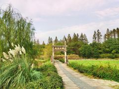 -杏花村文化旅游区