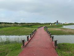 -春花秋色城市公园