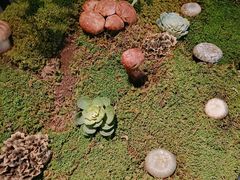 -外滩·云南人家(昆明旗舰店)