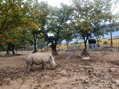 -西安秦岭野生动物园