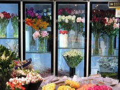 -双季花艺园艺市场(浦东店)