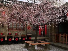 -大槐树寻根祭祖园