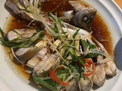 -WILDS 野有食(碧坞店)
